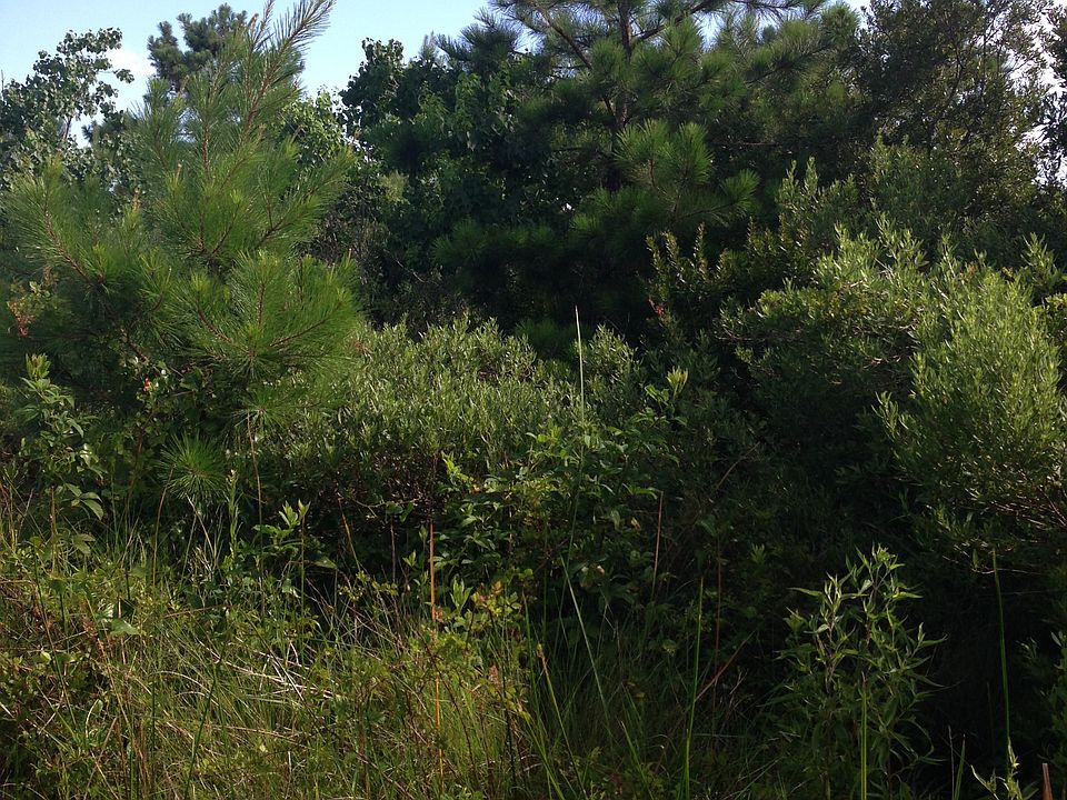 2nd image of 19 - 20 Blk 619 Shoreline Park