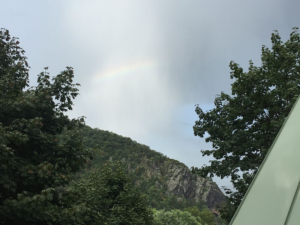 view from patio