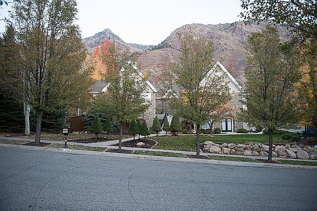 Front Yard