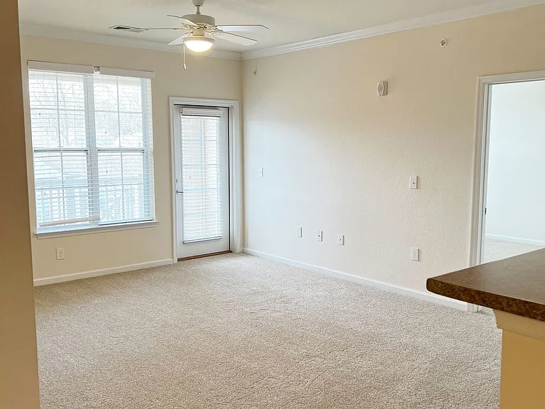 Belmont at Tryon Apartments — Photo 177