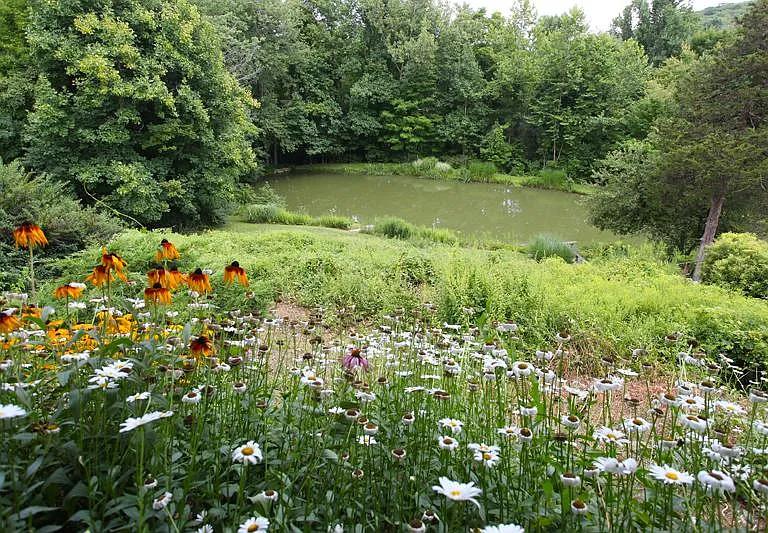 32 Leach Hollow Rd — Photo 12