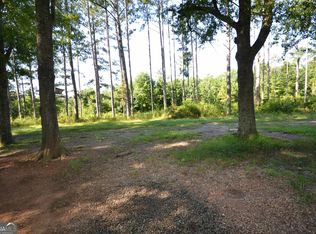 96 Morris Rd, Buchanan, GA 30113