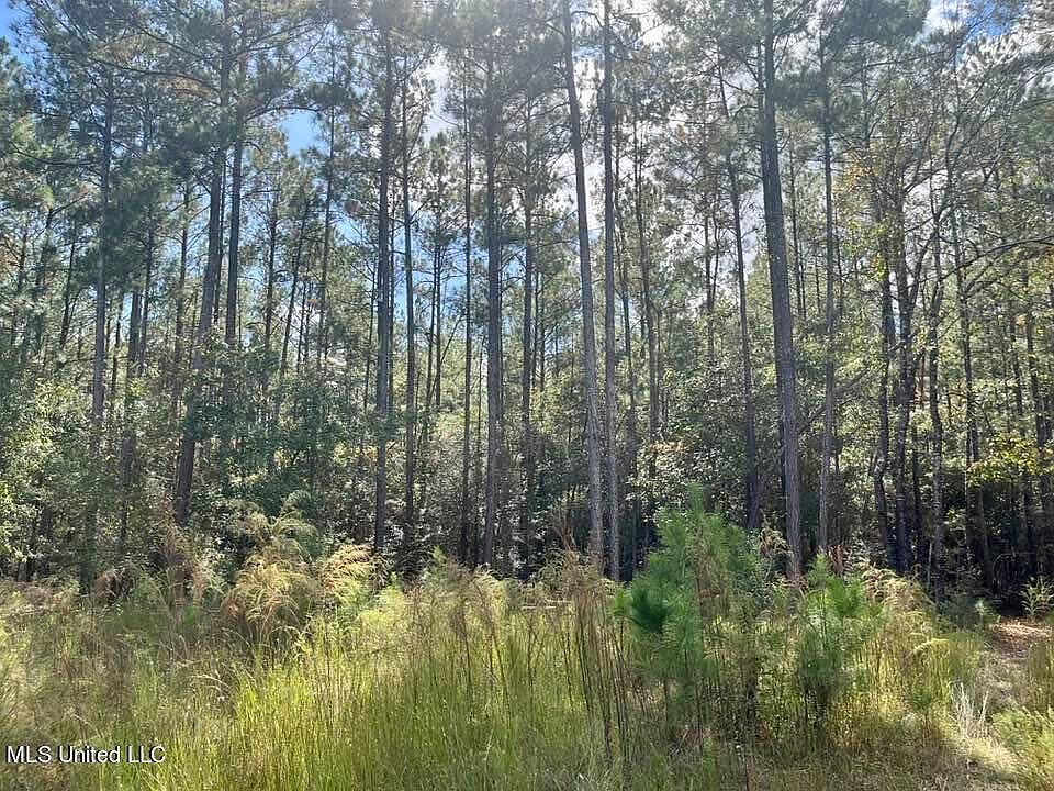 Stringer Rd, Wiggins, MS 39577 MLS 4062832 Zillow