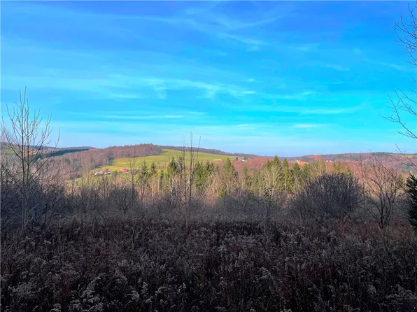 LOT 20.11 Billings Hill Rd #20, Earlville, NY 13332