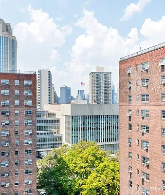 Rented by Brown Harris Stevens | media 17