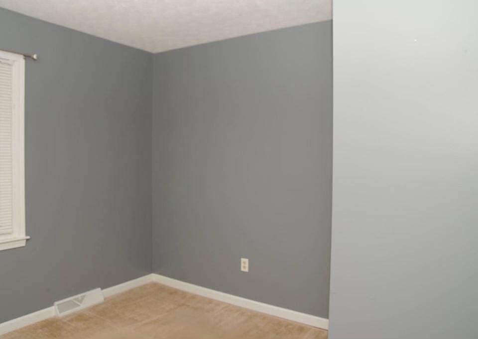 wall color thru out home will be this color
