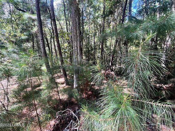 LOT 8 Dr Martin Luther King Jr Dr, Saint Helena Island, SC 29920 | MLS ...