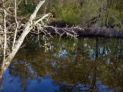 Vacant Seminole Ln #0, Sopchoppy, FL, 32358