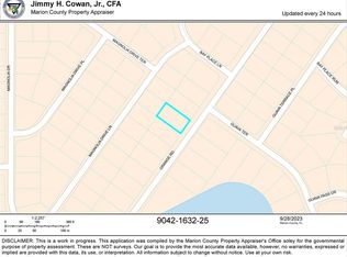 Orange Rd LOT 25, Ocklawaha, FL 32179