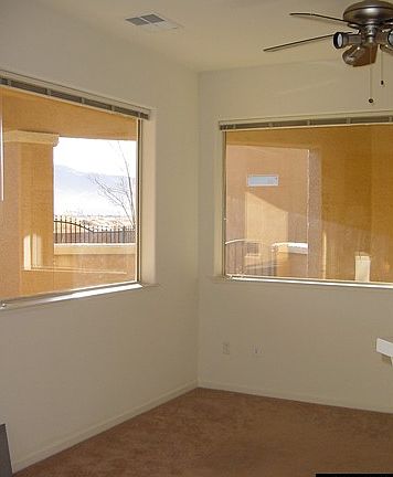 Windows in Family Room