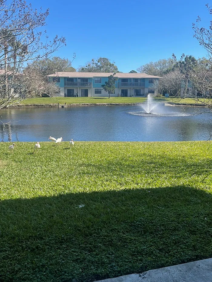 2 bed, 2.0 bath, 816 sqft, $1,600 — Photo 3