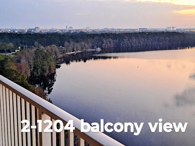 13427 Blue Heron Beach Dr #21204 — Photo 9