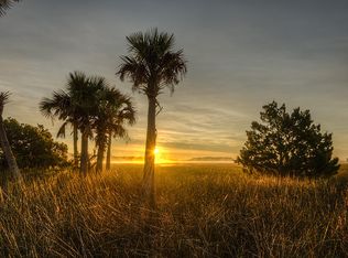 469 Lesesne St, Daniel Island, SC 29492