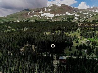 127 Ansley Ave, Alma, CO 80420