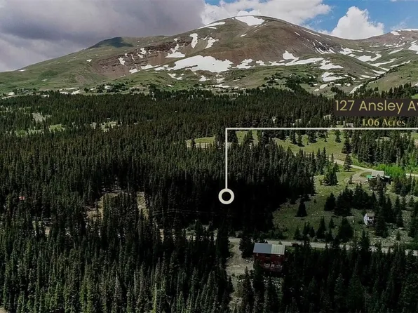 127 Ansley Ave, Alma, CO 80420