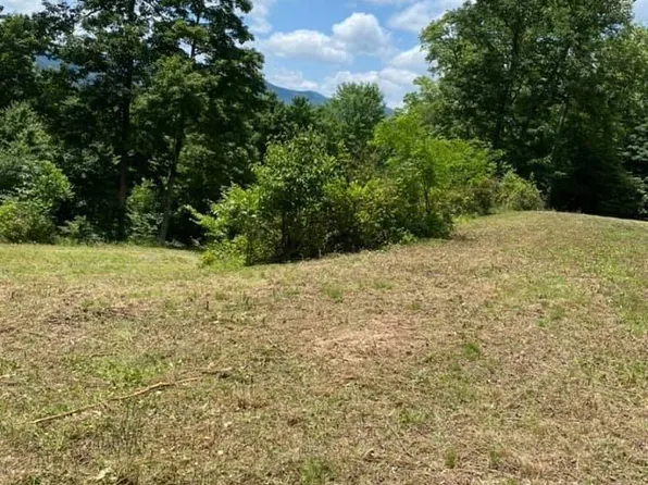 138 Upper Ebbermans Dr, Elkins, WV 26241