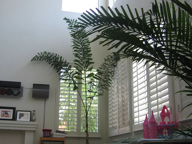 17668 Peachtree Ln — Photo 6