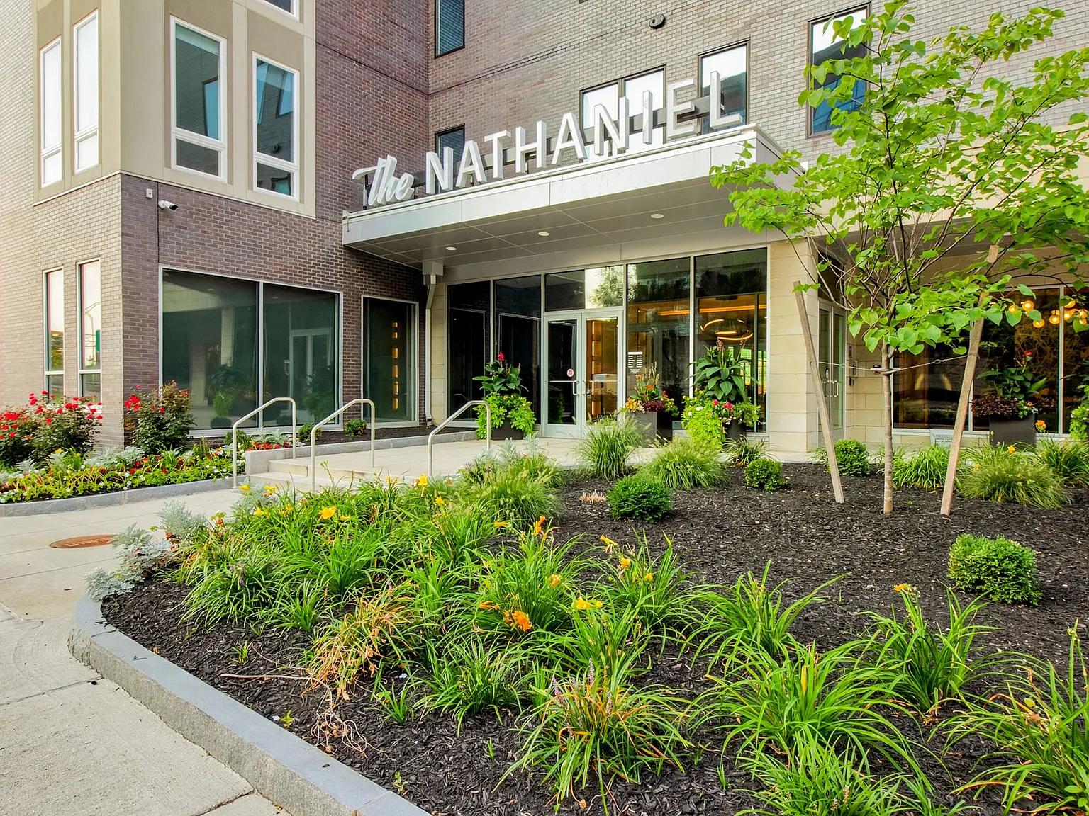 The Nathaniel — Photo 1
