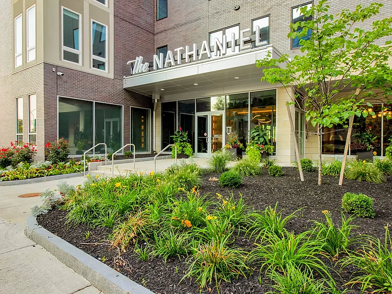 The Nathaniel — Photo 1