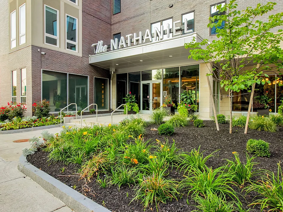 The Nathaniel
