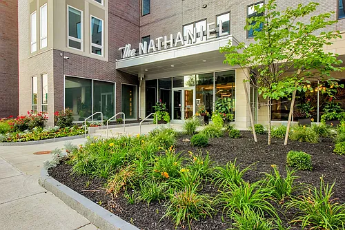 The Nathaniel Photo 1