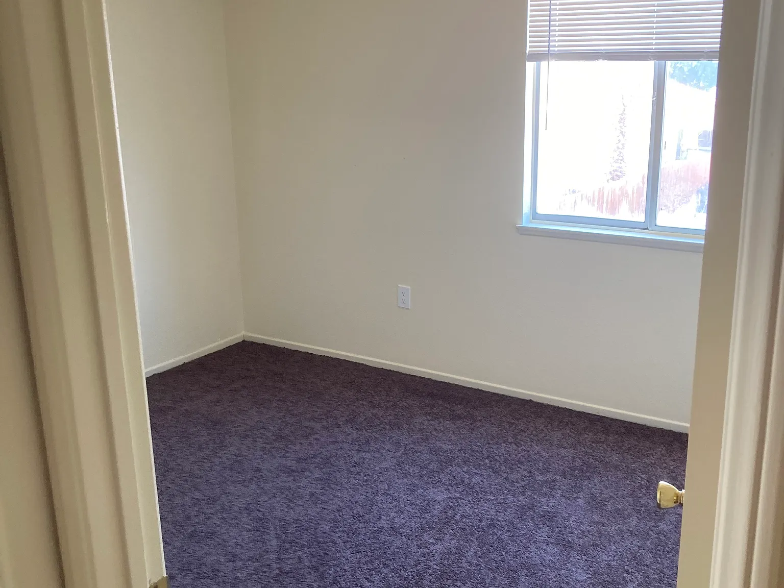 4 bed, 1581 sqft, $3,000 — Photo 4