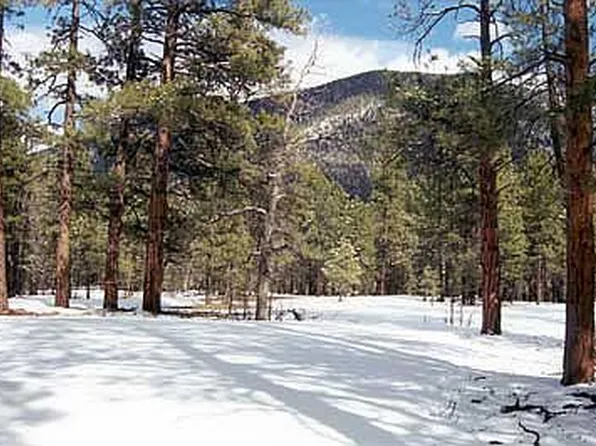 1384 Bouteloua Bnd, Flagstaff, AZ 86001