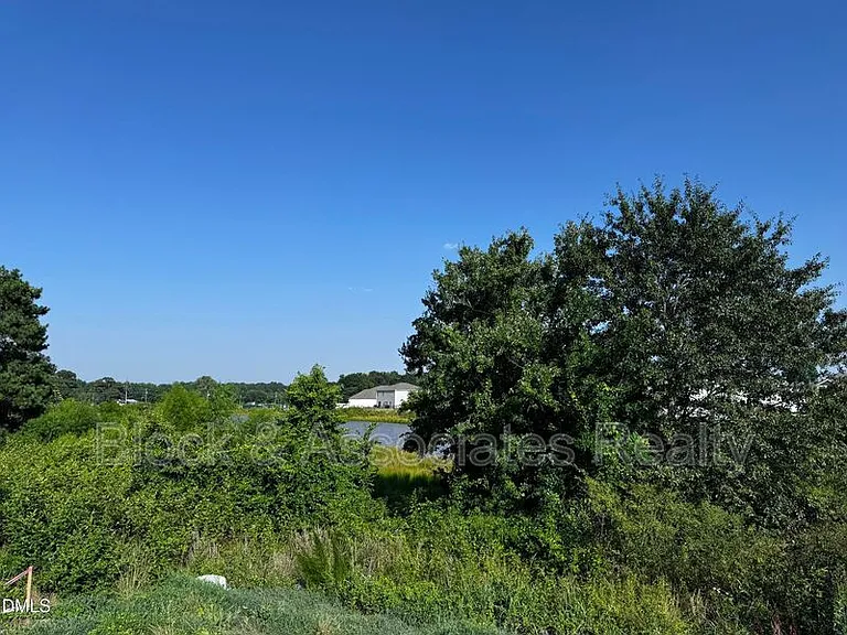 62 Thistle Patch Pl — Photo 5