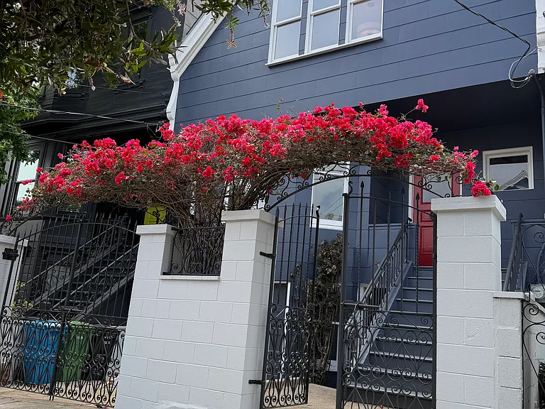 468 Noe St — Photo 2