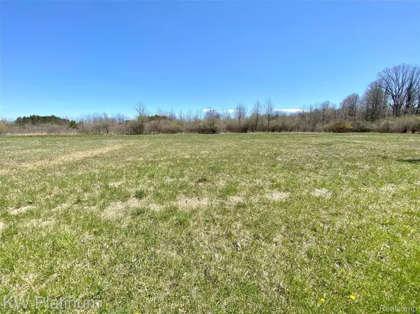 0 McIntyre Rd, North Street, MI 48049