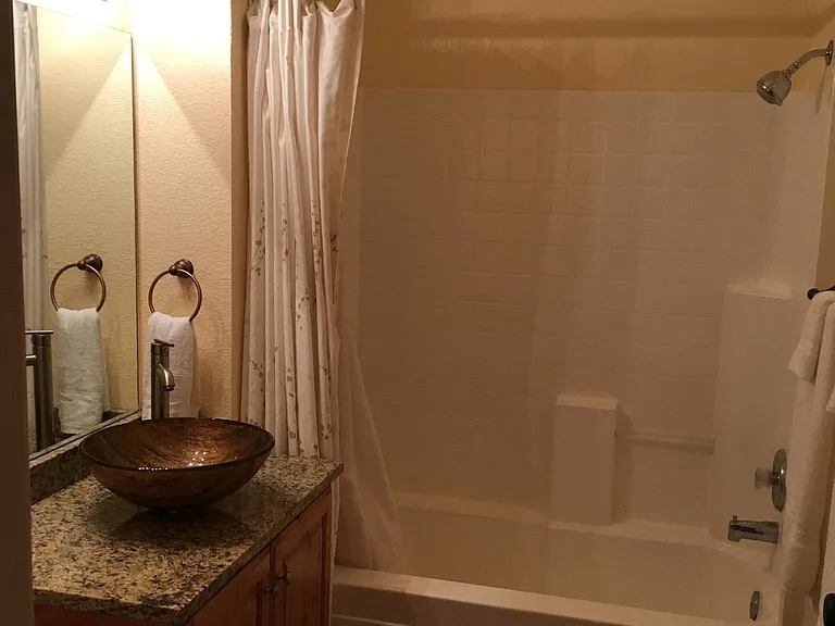 Guest bathroom