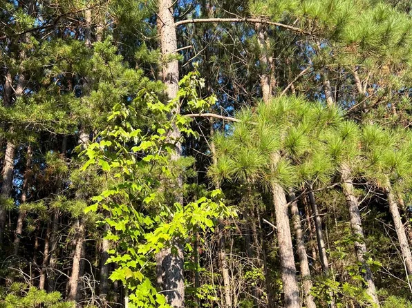 2850 Whipping Creek Rd, Gladys, VA 24554