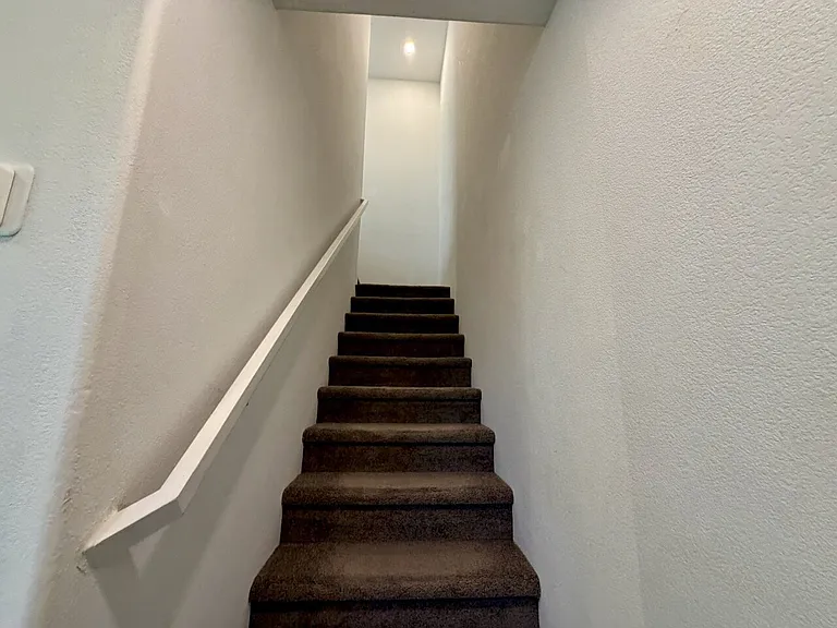 687 Pickled Pepper Pl — Photo 21