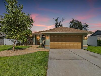 23526 Pine Lake St, Land O Lakes, FL, 34639