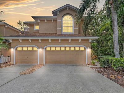 4262 Preserve Pl, Palm Harbor, FL, 34685