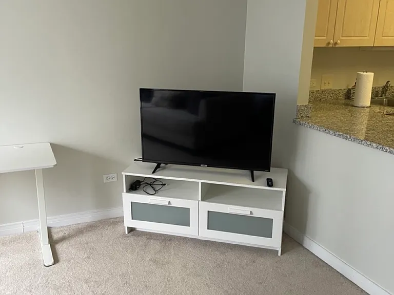512 N McClurg Ct #3002 — Photo 3