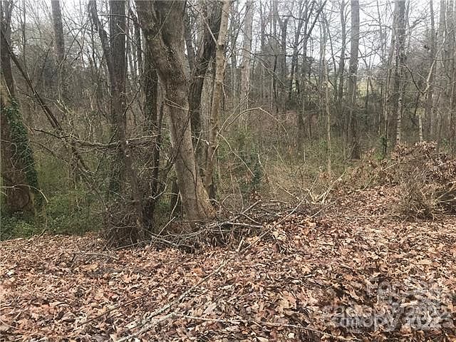 2nd image of 156 Bufflehead Dr Lot 19