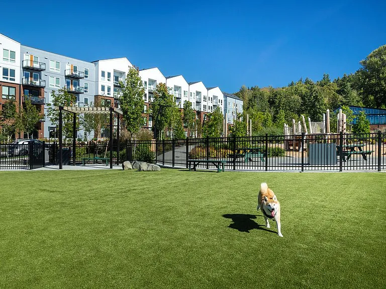 WAG pet park
