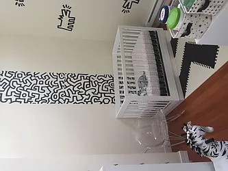 Rented by Jack B Shapiro