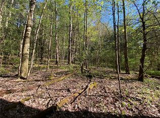 0 Middlefield Rd, Roseboom, NY 13450