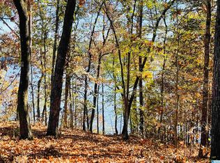 0 Ranch Marina Rd #22, Pell City, AL 35128