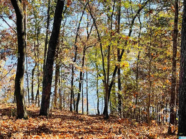 0 Ranch Marina Rd #22, Pell City, AL 35128