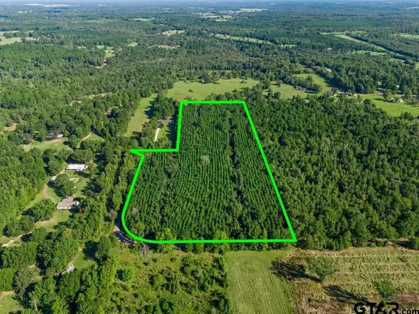 Cat Rd, Gilmer, TX 75644