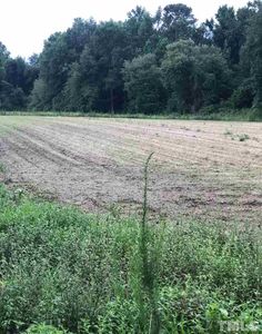 436 Clark Rd, Lillington, NC, 27546