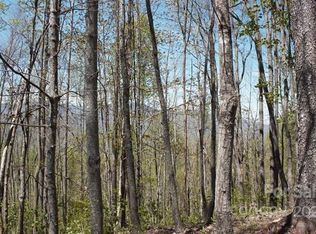 209 Side Cut Way, Sylva, NC 28779