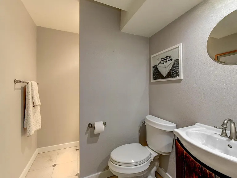 Lower level Bathroom