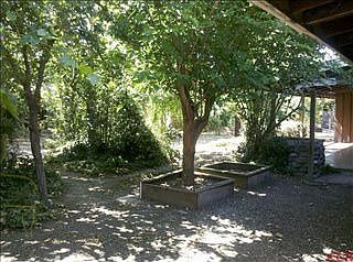 5th image of 1231 Catarina St