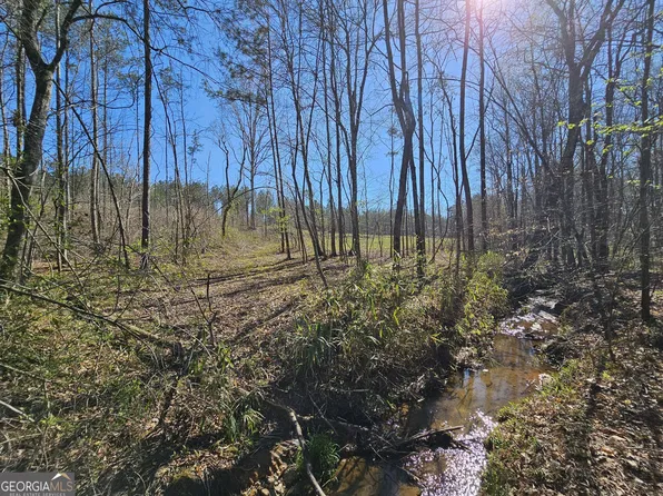 0 Butler Rd #3, Franklin, GA 30217