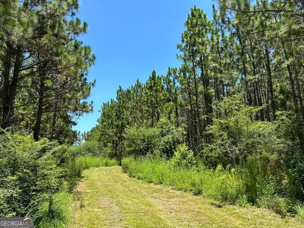 7 Case Rd, Slocomb, AL 36375