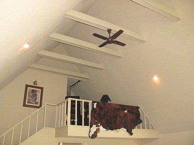 4th image of 127 Broadmoor Dr #4